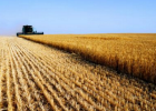List of largest producing countries of agricultural commodities | Recurso educativo 752593