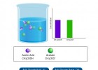 Funcionamiento de una solución amortiguadora del pH | Recurso educativo 755242