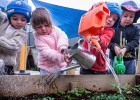 Children watering plants | Recurso educativo 770024