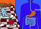 Interactive Human: Digestion interactive game for kids | Recurso educativo 91930