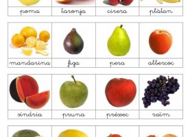 Les fruites | Recurso educativo 770113