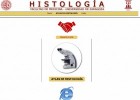 Atlas de Histología de la Facultad de Medicina de Zaragoza | Recurso educativo 773859