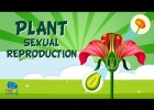 Plant sexual reproduction | Educational Video for Kids | Recurso educativo 776309