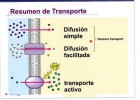Transporte en membrana | Recurso educativo 779902