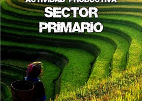 La actividad productiva: Sector primario. | Recurso educativo 782833