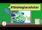 ¿Cuánto sabes de Biología? ¡Responde para averiguarlo! - #EducatinaTrivia | Recurso educativo 783644