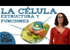 Qué es la célula: estructura y funciones | Recurso educativo 783961