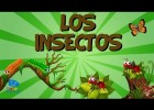 Los insectos | Recurso educativo 784914