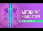 Sistema nerviós | Recurso educativo 786455