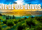 El Monte de los Olivos - Episodio 5/14 | Recurso educativo 7903167