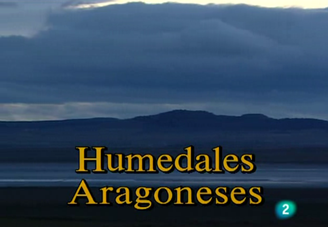 Humedales aragoneses | Recurso educativo 34705