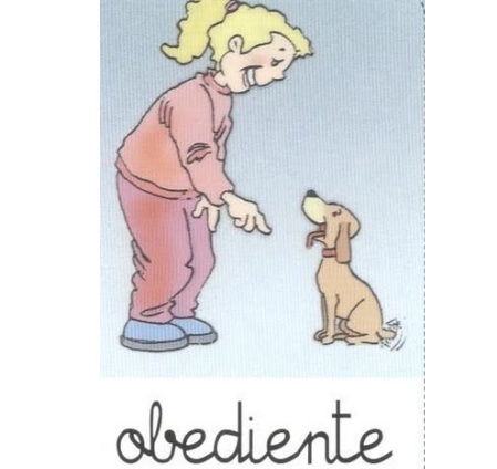 Adjetivo: obediente | Recurso educativo 44970