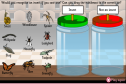 Insects | Recurso educativo 21762