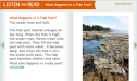 What happens in a tide pool? | Recurso educativo 64774