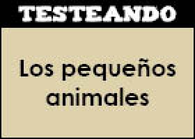 Los pequeños animales | Recurso educativo 351663