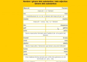 Gènere dels substantius | Recurso educativo 726058