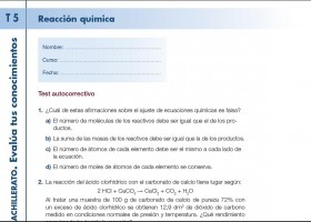 Evalúa tus conocimientos. 5. Reacción química | Recurso educativo 724601