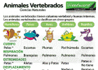 animales-vertebrados.gif | Recurso educativo 781693